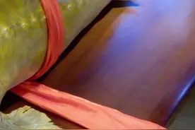 哈尔滨美食-胖姐渔村，鳇鱼炖土豆鱼皮比猪皮还厚#美食探店 #抖音美食 @抖音美食