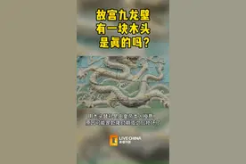 #故宫 故宫九龙壁上有一块木头，是真的吗？网上流传的“工匠瞒天过海”的故事，可信吗？视频封面