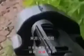 美英雇佣兵乌克兰参战视频曝光，高喊：“赶紧撤！不然都得死”视频封面