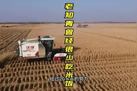 北大荒的老知青，感慨年轻时很少吃大米，为他们的贡献点赞视频封面