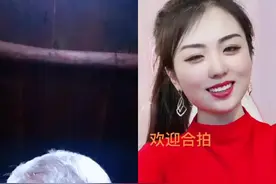 #他趣app