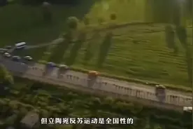 200万人的一次牵手，没想到却成为了苏联覆灭的开始 #世界历史视频封面