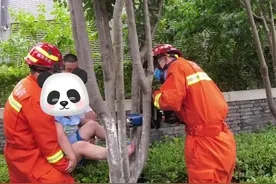 小男孩贪玩爬树脚卡树杈内 消防员紧急施救@北京东城消防 #熊孩子系列 视频封面