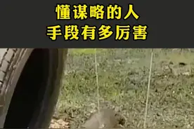 别人给你挖坑，怎么反击？学学素书里的谋略技巧，让你反败为胜！#处世智慧 #思维#谋略#职场#人性视频封面