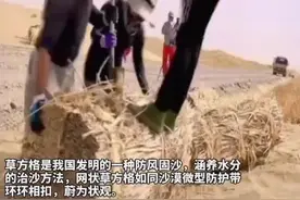 这个厉害了！草方格原来是这样制作的 #草方格治沙  #草方格视频封面