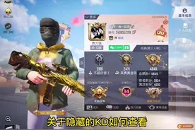 如何查看好友隐藏的KD和个人战绩#和平精英视频封面