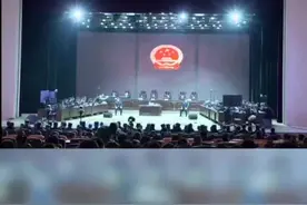 薛光辉（绰号：留住）等34人涉黑案宣判！薛光辉（绰号：留住）无期徒刑！刘晓峰（绰号：二肥）死刑！#扫黑除恶视频封面