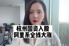 蚂蚁整改重大进展 二次上市有望？杭州国资入股成第二大股东视频封面