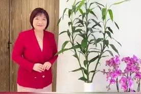 麦向好运｜富贵竹 如何摆？#麦玲玲 #涨知识 #干货分享 #2022 #富贵竹 #富贵竹怎么养 #步步高升视频封面
