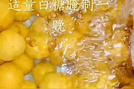 麦稍黄杏儿熟，又到了吃杏的季节，去年做的杏干一点也不比买的差大人小孩都喜欢吃，今天再来做点试试#爱生活爱美食 #分享美食分享快乐 #纯手工零添加 视频封面