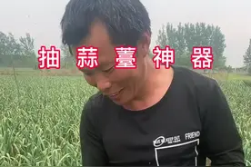 #抽蒜薹神器 #三农 #高手在民间 视频封面