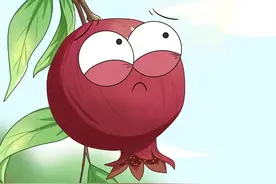 石榴炸开花原来里面是住不开了呀#万物皆可达#新农人计划#奇妙知识在抖音#充能计划 #轻漫计划 #春日魔法挑战 视频封面