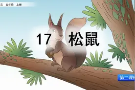 课文讲解-语文-5上-17 松鼠（第2课时）