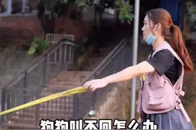狗狗撒手叫不回怎么办#广州训犬 #萌宠出道计划 #狗狗上学视频封面