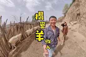养200只羊，一年收入多少呢#农村生活 #vlog日常 #原生态乡村生活视频封面
