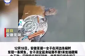 河边洗碗突然钻出一条鳄鱼，女子淡定拍视频视频封面