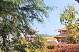 武汉很清净的地方，环山靠水风水宝地#日常vlog #周末去哪玩视频封面