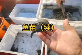 人不可能每一步都正确，我不想回头，也不想批判那时候的自己视频封面