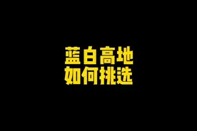 #猫 蓝白高地怎么看品相，蓝白长毛猫如何挑选视频封面