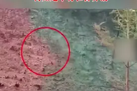 疑似喷洒车给荒山喷绿漆，男子前去询问查看，得知是草籽和营养液#原来如此 #生态环境 视频封面