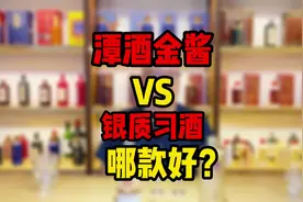 潭酒的金酱和银质习酒，哪款性价比更高？#茅台 #原酒公社 #潭酒视频封面