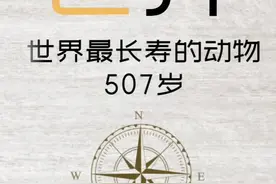 本来可以继续活下去的，可是他遇到了人类#大千世界 #打call我的内容主场 #奥利给视频封面