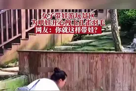 河北一女子哄女儿开心，强行拔下孔雀羽毛！网友：你就这样带娃？样子真丑！景区：暂未发现孔雀受伤，保留追究权利！视频封面