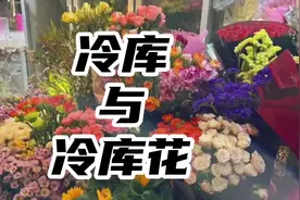 讲解一下冷库的作用，并不是所有入过冷库的花都是冷库花视频封面