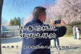 初春的桃花试试这样拍，简单几招教会你！#手机摄影 #创作灵感视频封面