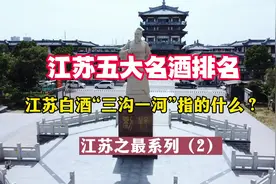 江苏五大名酒有哪些？别具特色的“三沟一河”到底是哪些牌子？视频封面