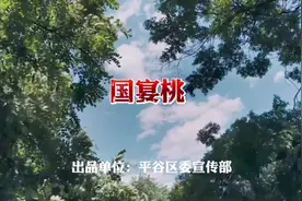 【揭秘国宴桃的诞生，赢取扫地机器人】平谷大桃如何走上国宴餐桌视频封面