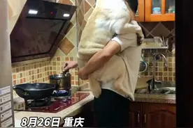 男子抱拉布拉多煮面，老人在旁边咆哮：别掉锅里了，煮个面条都背着它，惯啥样儿了 #狗子的幸福生活 #爱狗如命 #拉不拉多 @草莓Mango 视频封面