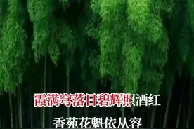 有些事，明知已经过去了，却仍然固执地去回忆#情感音乐 #音画欣赏 #歌曲入情入心又入骨 视频封面