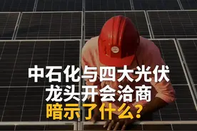 中石化与四大光伏龙头开会洽商，暗示了什么？视频封面
