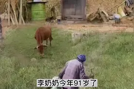 李奶奶和刘爷爷，相亲相爱74年，他们不求同生，只求同死视频封面