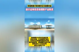 安德利果汁拟动用9亿元闲置资金进行证券投资和理财产品购买 视频封面