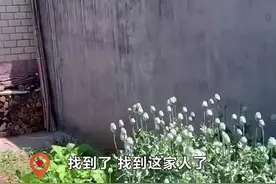 山东济南，因为“炖肉好吃”？村民在院里种了100多株罂粟！明天上午10:30，生活帮继续直播#查处罂粟种植视频封面