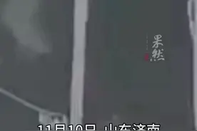 自己狗子夜间往返三趟，连偷回三只大鹅！网友：#成精了！#狗子夜偷大白鹅视频封面