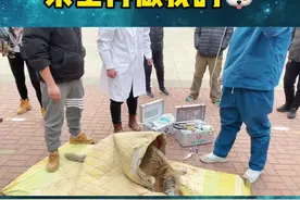 五十天，它感受到世间温暖，没有遗憾… #被遗弃的狗 #金毛 #救助流浪狗  @DOU+小助手 @抖音短视频视频封面