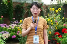 创建全国文明城市，看看大家怎么说...#成都 视频封面