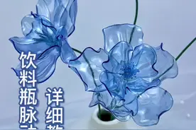 #脉动花 详细教程，生活要有仪式感，有手就能做。#手工diy #变废为宝视频封面