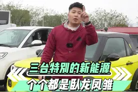 #新能源汽车 中的卧龙凤雏，人人都能开上电动车。#我要上热门 #抖音汽车 #电动车 #中国人不骗中国人 @DOU+小助手视频封面