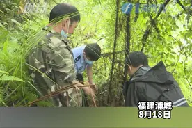 浦城一男子山上偷放25个野猪夹，贪吃男子涉嫌非法狩猎被刑拘！#现场#福建浦城 视频封面
