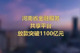 注册企业超20万家，河南省金融服务共享平台放款突破1100亿元视频封面