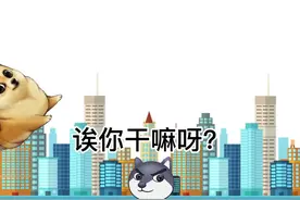 我捶死你个小黑子#搞笑 #娱乐 #狗头视频封面