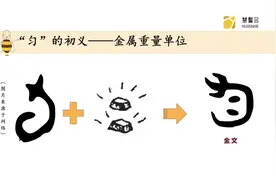 汉字“匀”的起源与发展#汉字演变 #说文解字#小学生生字视频封面