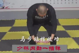 #内劲一指禅 收功动作视频封面