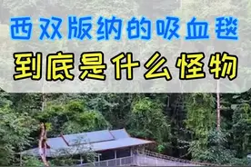 外形酷似毯子的“吸血怪”到底是什么？#知识创作人 #涨知识#科普 @抖音短视频 @发兔科学站视频封面
