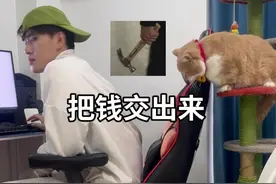 男人的嘴，骗人的鬼#萌宠出道计划视频封面