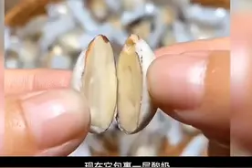 巴旦木和杏仁的区别：1.巴旦木是扁桃的果仁，而杏仁是杏的果仁视频封面